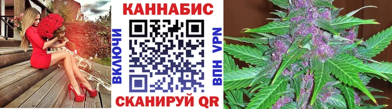 Купить закладки  Вышний Волочёк  Шишки марихуана планчик 